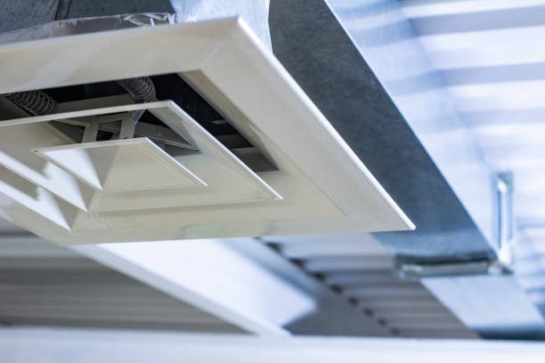 Best Air Duct Mold Removal  in Crenshaw, MS